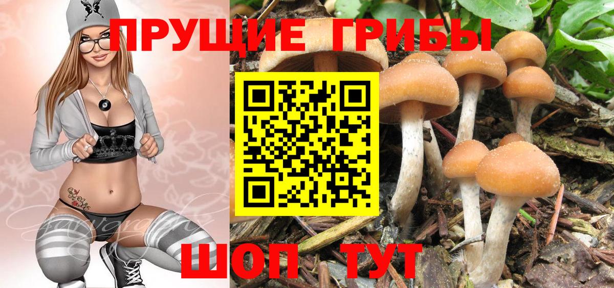 Галлюциногенные грибы мицелий  Псилоцибиновые грибы GOLDEN TEACHER  Усинск  Вход с VPN 
